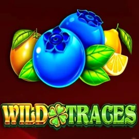 Enjoy Wild Traces by Amusnet Interactive – logo hosted on spinnjoys.com